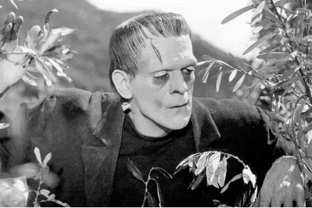 Почему "купить тему + 20 модулей" - худшее, что можно сделать с OpenCart