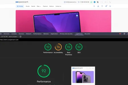 Mobile Lighthoust Scores