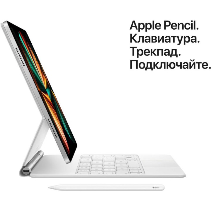 Планшет Apple iPad Pro 2021 11" 2Tb Wi-Fi + Cellular MHWE3RU/A,  16ГБ, 2ТБ,  4G серый космос